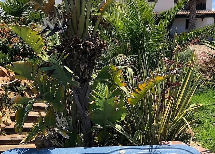 招待所 Andalucia 3*