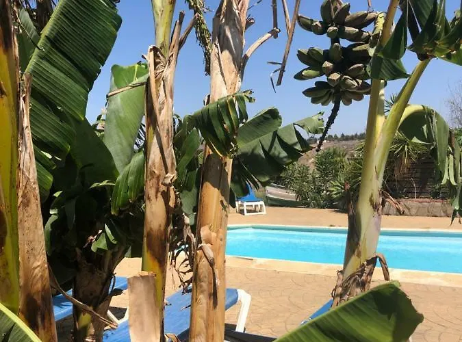 Maison d'hôtes Finca Andalucia Conil De La Frontera