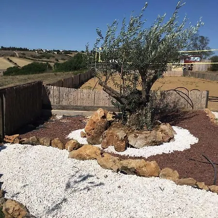 Andalucia בית הארחה קוניל דה לה פרונטרה